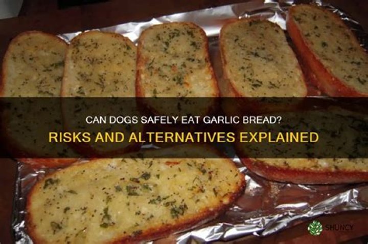 Can a dog eat garlic?
