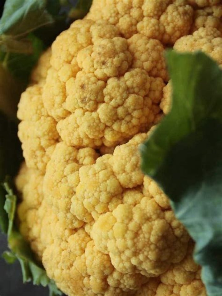 Can you eat cauliflower that has turned yellow?