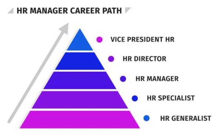 Who is higher than executive director?
